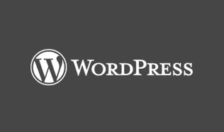 WordPress Websites