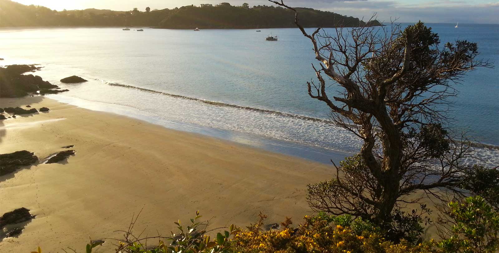 Waiheke Website Help