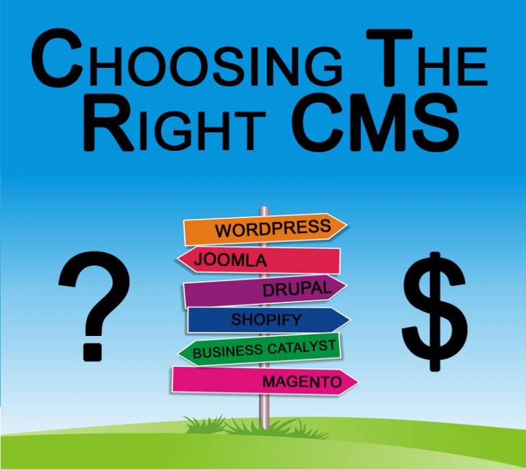 What’s the best software for your website?