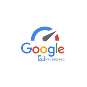 Google Page Speed
